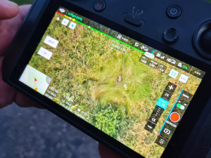 Hasiči pomáhají se záchrankou srnčat před sekačkami, pomocí dronů hledají mláďata ukrytá v trávě