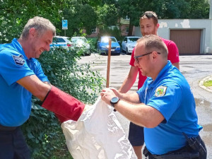 VIDEO: Strážníci v ulicích Chodova odchytili metrového hroznýše