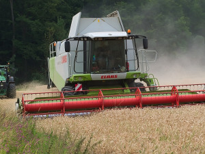 V Česku začaly žně, v Karlovarském kraji zatím zemědělci na sklizeň čekají