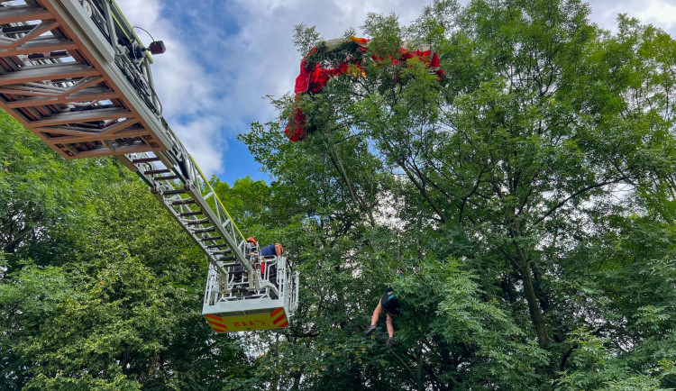 Paraglidistka neplánovaně přistála do koruny stromu. Sundat ji museli hasiči