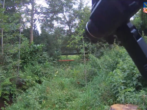 Policie na místě činu