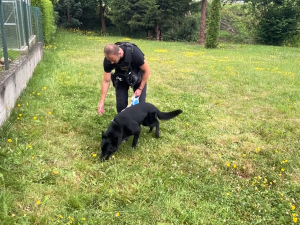 Policie na místě činu