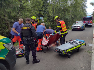 Auto vyletělo ze silnice a poškodilo vozí hnízdo. Vosy pak napadaly záchranáře, kteří pomáhali těžce raněným