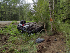 Auto vyletělo ze silnice a poškodilo vozí hnízdo. Vosy pak napadaly záchranáře, kteří pomáhali těžce raněným