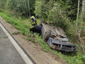 Auto vyletělo ze silnice a poškodilo vozí hnízdo. Vosy pak napadaly záchranáře, kteří pomáhali těžce raněným