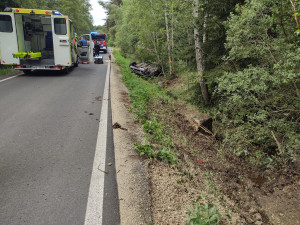 Auto vyletělo ze silnice a poškodilo vozí hnízdo. Vosy pak napadaly záchranáře, kteří pomáhali těžce raněným