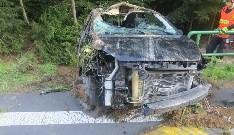 Vosí bodnutí zavinilo dopravní nehodu: Řidička ztratila kontrolu nad autem, ve kterém vezla dvě děti