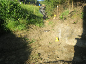 Vosí bodnutí zavinilo dopravní nehodu: Řidička ztratila kontrolu nad autem, ve kterém vezla dvě děti