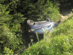 Vosí bodnutí zavinilo dopravní nehodu: Řidička ztratila kontrolu nad autem, ve kterém vezla dvě děti