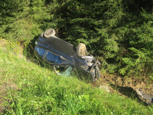Vosí bodnutí zavinilo dopravní nehodu: Řidička ztratila kontrolu nad autem, ve kterém vezla dvě děti