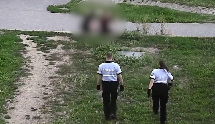 VIDEO: Dva opilci se poprali na Palmovce, policie hledá svědky bitky