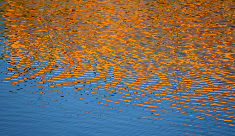 Většina koupališť v Karlovarském kraji je stále vhodná ke koupání