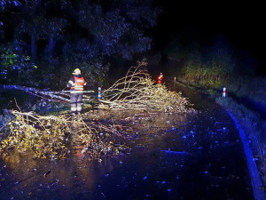 Povodně v Karlovarském kraji zatím nehrozí, vítr ale kácí stromy