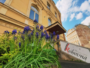 Karlovy Vary chtějí přestavět knihovnu na Růžovém vrchu na komunitní centrum