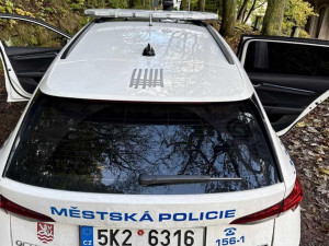 Neznámý pachatel vyškrábal vulgární symbol kosočtverce do laku vozidla městské policie