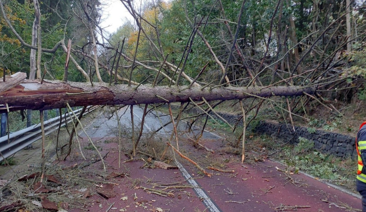 Hasiče po vichřici zaměstnávalo množství popadaných stromů. Do jednoho narazil i osobní vlak