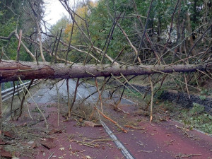 Hasiče po vichřici zaměstnávalo množství popadaných stromů. Do jednoho narazil i osobní vlak