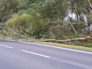 Hasiče po vichřici zaměstnávalo množství popadaných stromů. Do jednoho narazil i osobní vlak