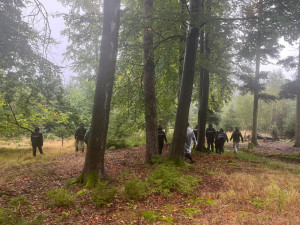 Po třech ztracených houbařích pátrali během jediného dne nezávisle na sobě policisté v Karlovarském kraji