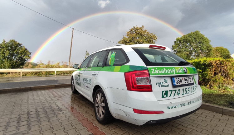 Zvířecí záchranka je nadějí pro divoká zvířata lapená městem. Nyní vybírá peníze na nové auto