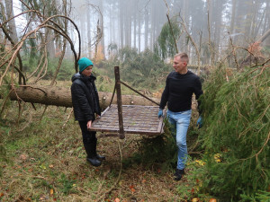 Experti přesunuli hnízdo čápa černého do bezpečnější lokality, starou poškodila vichřice