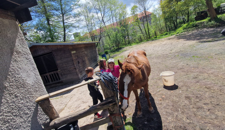 344753028_555276516776881_702276329599042747_n