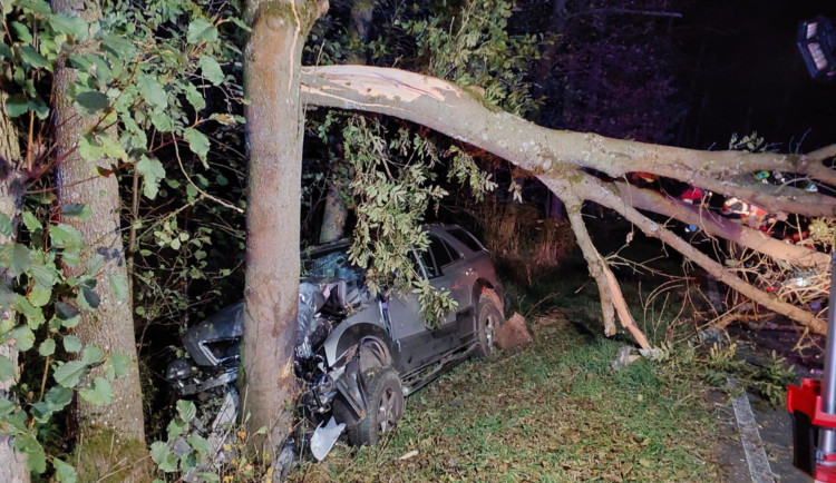 Tragická nehoda u Dolního Žandova