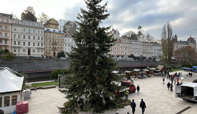 Vánoční strom v Karlových Varech se rozsvítí o první adventní neděli