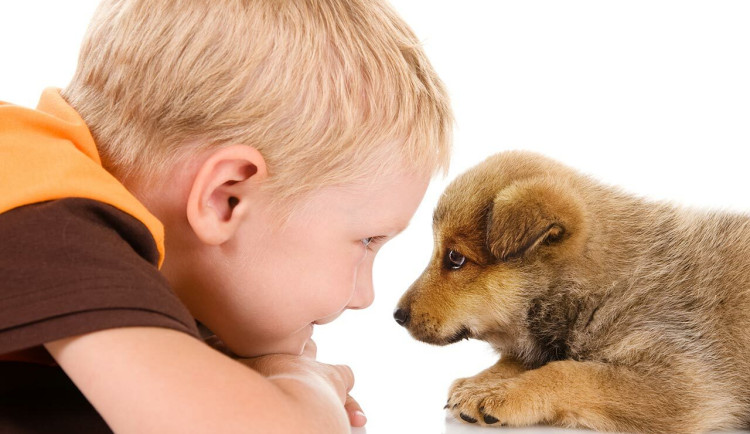 Jak sladit lásku ke zvířatům se zdravím dítěte
