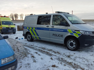 Autoři petice požadují odvolání ředitelky veterinární správy, poslední kapkou byl případ otřesného týrání zvířat