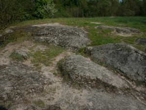 Kraj podpoří úpravy mohylového pohřebiště z doby bronzové nedaleko Františkových Lázní