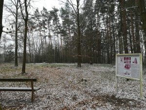 Kraj podpoří úpravy mohylového pohřebiště z doby bronzové nedaleko Františkových Lázní