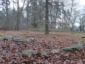 Kraj podpoří úpravy mohylového pohřebiště z doby bronzové nedaleko Františkových Lázní