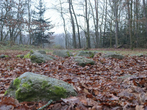 Kraj podpoří úpravy mohylového pohřebiště z doby bronzové nedaleko Františkových Lázní