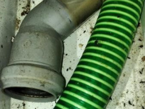 Mrtvá myš ve skladu restaurace a všude kolem bobky, inspektoři uložili provozovateli částečný zákaz