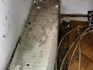 Mrtvá myš ve skladu restaurace a všude kolem bobky, inspektoři uložili provozovateli částečný zákaz