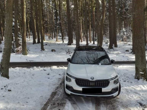 Prázdné parkoviště a auta rozesetá po lese, strážníci opakovaně upozorňují na nešvar řidičů