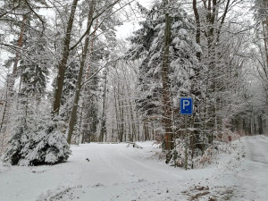Prázdné parkoviště a auta rozesetá po lese, strážníci opakovaně upozorňují na nešvar řidičů