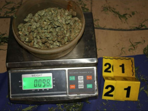 Kriminalisté odhalili na Chebsku pěstírnu konopí, našli tam metrové rostliny a desítky kilo usušené marihuany