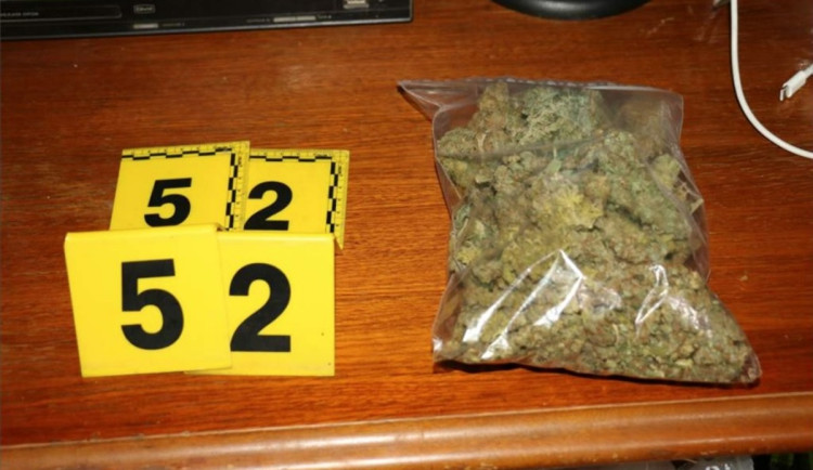 Kriminalisté odhalili na Chebsku pěstírnu konopí, našli tam metrové rostliny a desítky kilo usušené marihuany