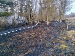 Hasiči ráno likvidovali požár chaty, hořely i stromy a suchá tráva na velké ploše přilehlé louky