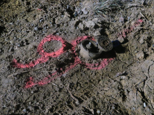 Řidič nezvládl jízdu, naboural do značek i auta. Nadýchal přes jedno promile