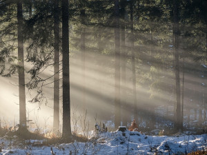 V Karlovarském kraji ráno klesly teploty i pod minus 15 stupňů Celsia