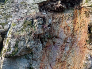 Kvůli pádu skály uzavřelo město Karlovy Vary na dobu neurčitou Slovenskou ulici. Řidiči musí objížďkami