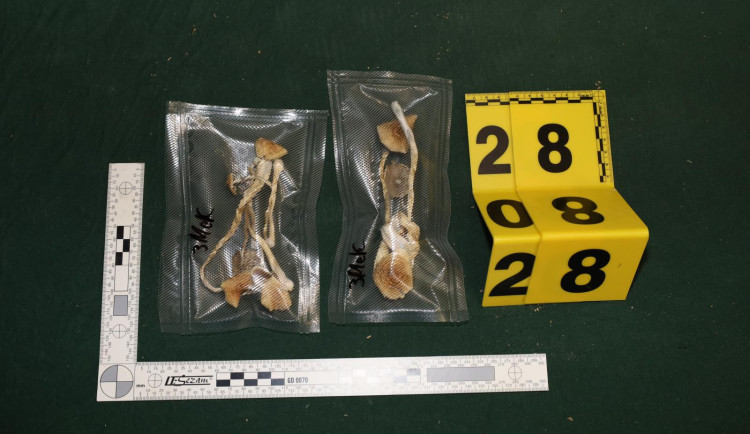 VIDEO: Cizinci prodávali v Libni drogy, policii je nahlásil nespokojený zákazník