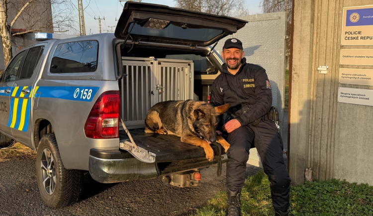 Policejní pes Floki dopadl zloděje, který se vloupal do obchodu na Sokolovsku. Muž totiž zatoužil po alkoholu