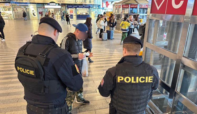 Stovky policistů kontrolují vlaky a nádraží, chtějí tak zvýšit bezpečnost