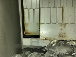 Mravenci v kuchyni, myší trus na baru. Inspekce uzavřela restauraci v Sokolově