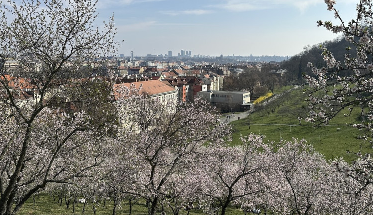 Prahu čeká během týdne až 25 stupňů, teplo má být i na Velikonoce