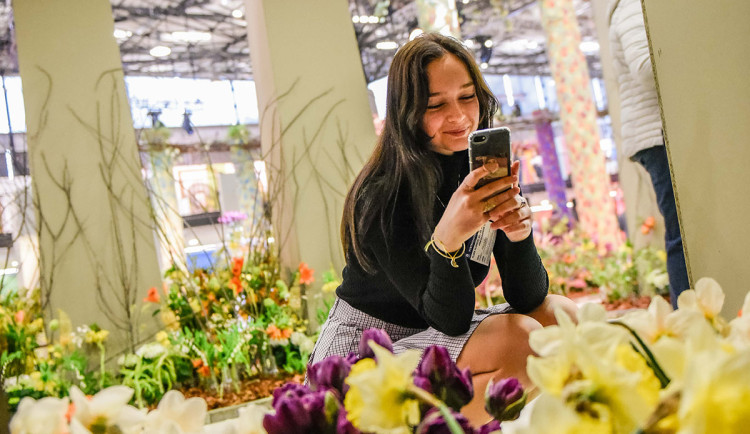 Olomouc ožije jarní Florou. Na oblíbenou výstavu zamíří desítky tisíc lidí